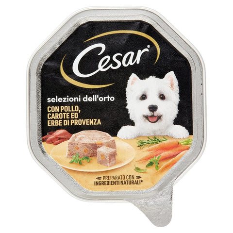 Patè per cane con pollo, carote ed erbe Cesar 150 gr