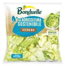 HEART OF ICEBERG