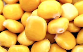 GRANATA LUPINI giganti in salamoia 250 GR circa