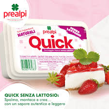 QUICK Formaggio fresco spalmabile senza lattosio 100 GR