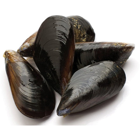 Cozze Italia