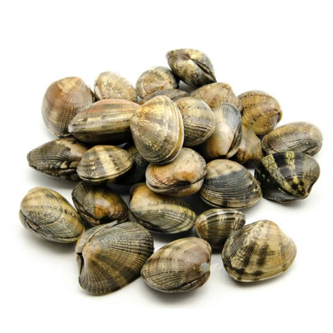 Vongole Veraci